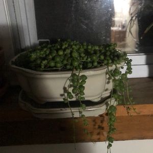 Meet your Posher, Jillian